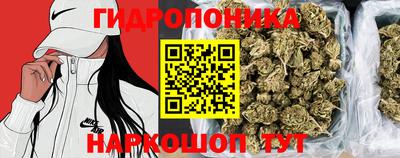 каннабис Новозыбков