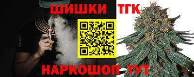 скорость Новодвинск