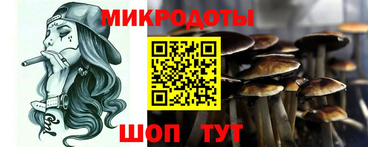 Галлюциногенные грибы Psilocybine cubensis Топки
